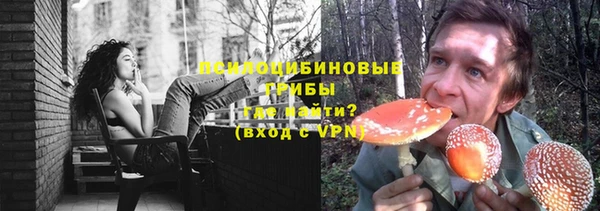 ALPHA PVP Покачи